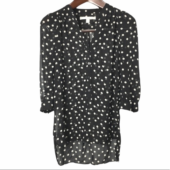 Lauren Conrad• classics sheer polka dot button down top small - Picture 1 of 10